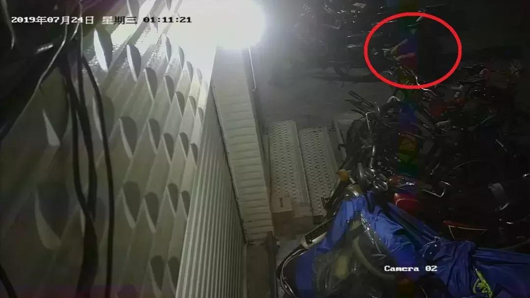 油耗子深夜出没警方上演极限抓捕,深夜遇到油耗子