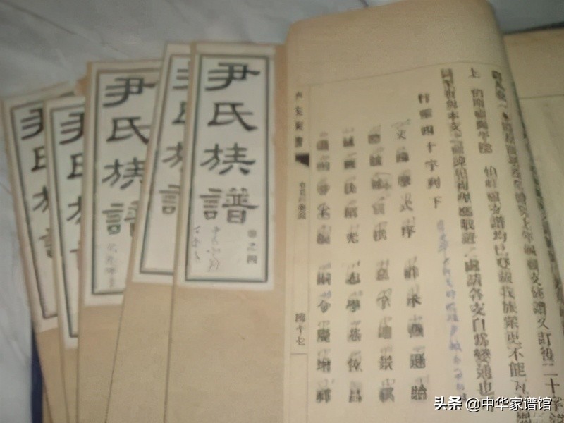 编修完整家谱所需要掌握的格式,编修族谱教学视频