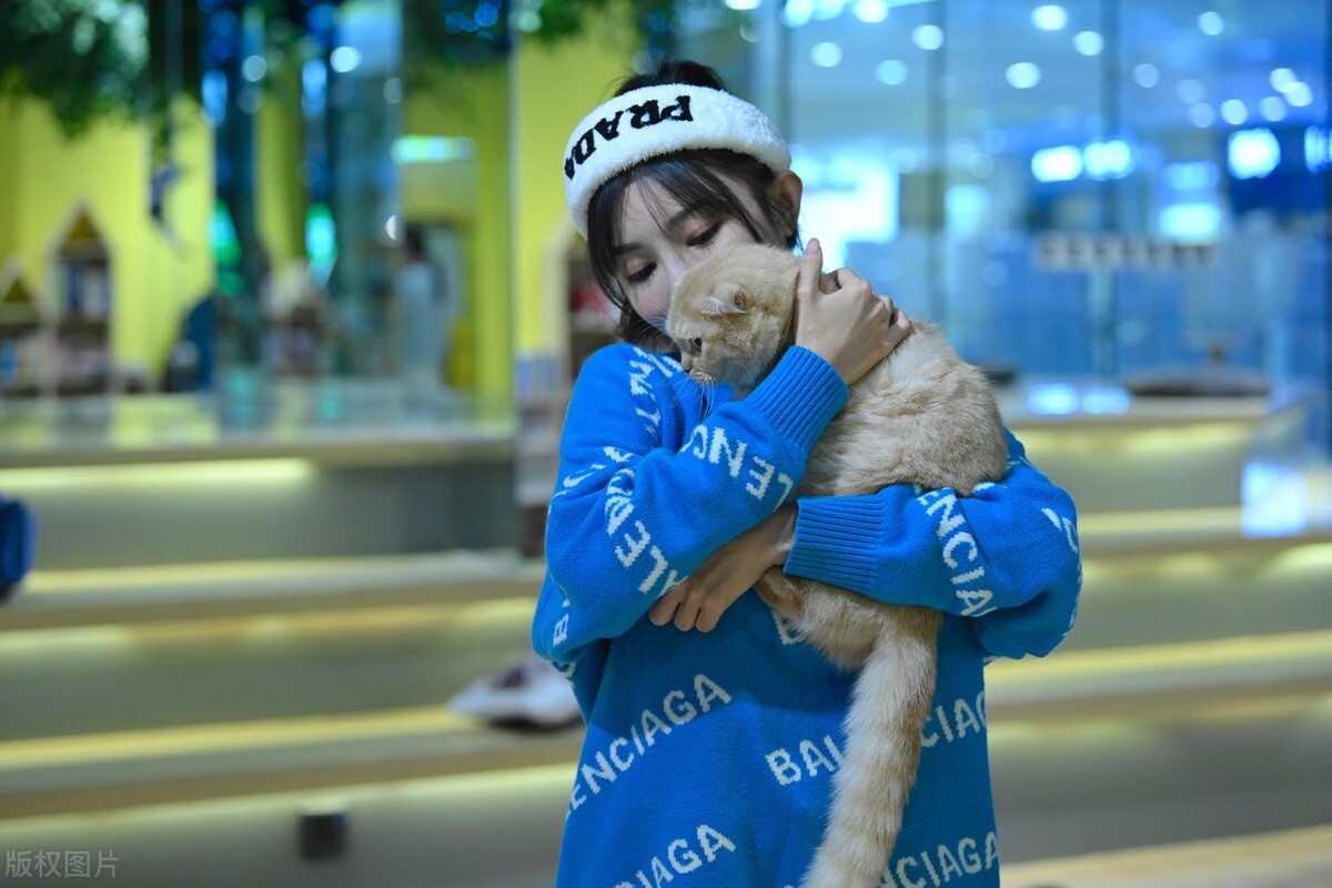 家里猫多怎么去除猫味,满屋的猫尿味如何彻底清除