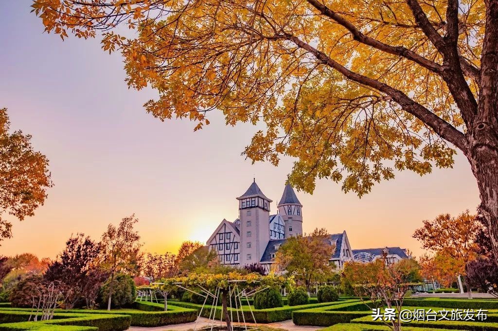 张裕卡斯特酒庄摘葡萄,张裕卡斯特酒庄750毫升定制