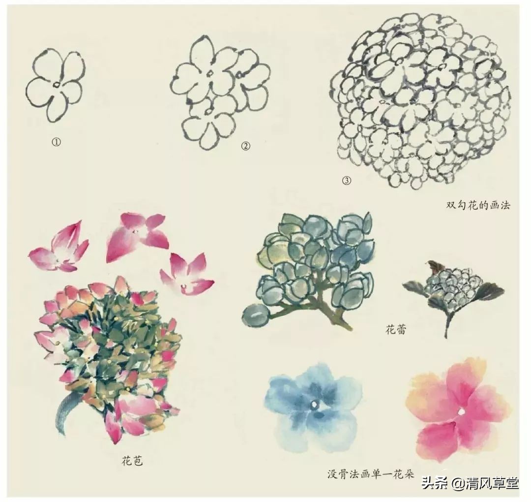 少儿国画花卉画法视频,各种花卉的100种画法