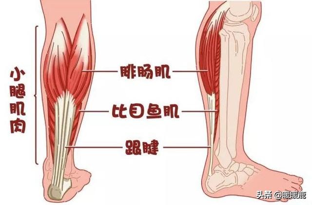 孕期腿抽筋不一定是缺钙，如何缓解孕妇腿脚抽筋，补钙越多越好吗