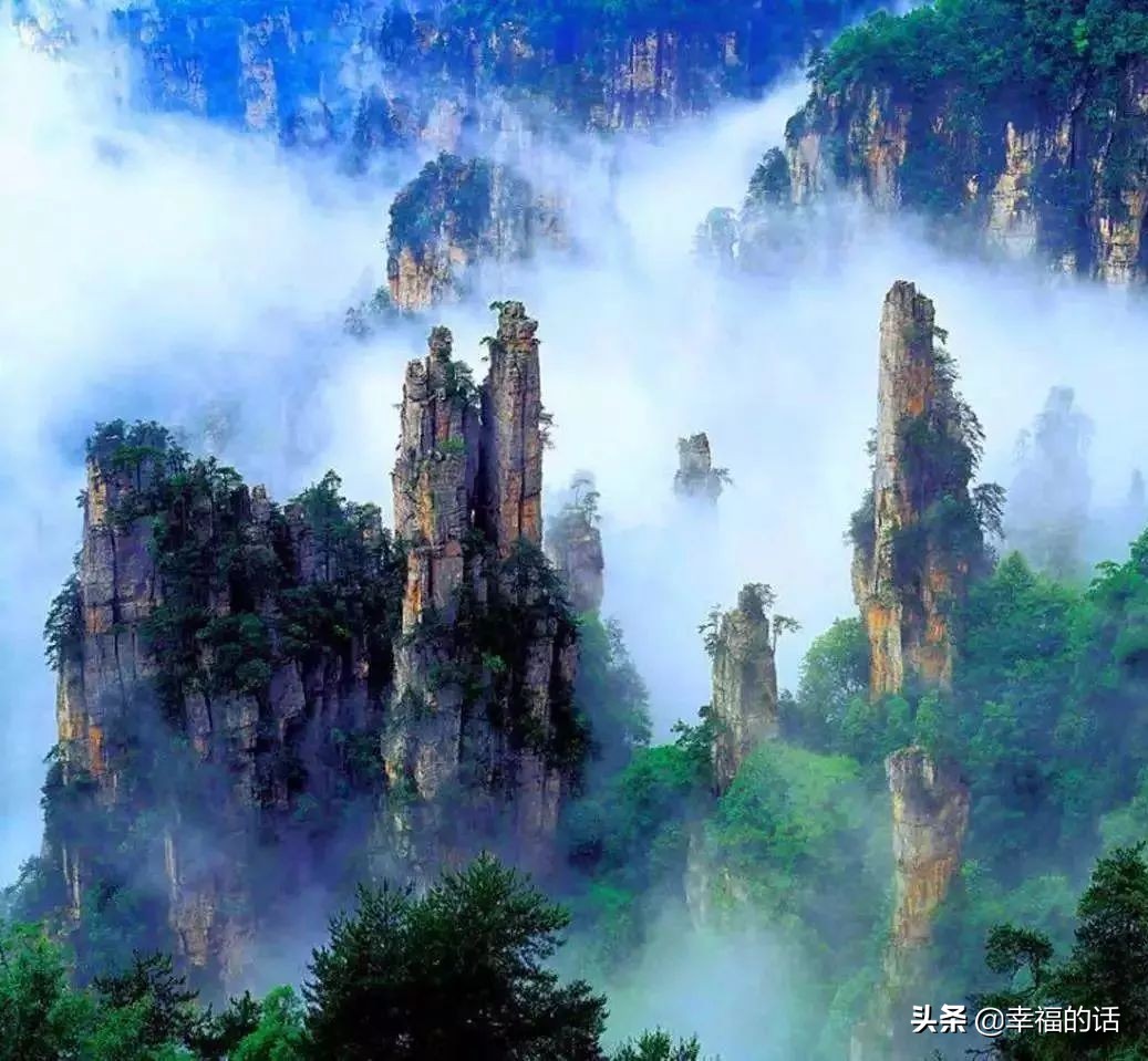 6月到了，送你6花6蝶6鸟6景6曲6诗，这月顺顺利利。