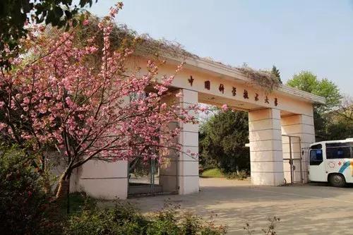 新校长履新发言,新校长的一席话