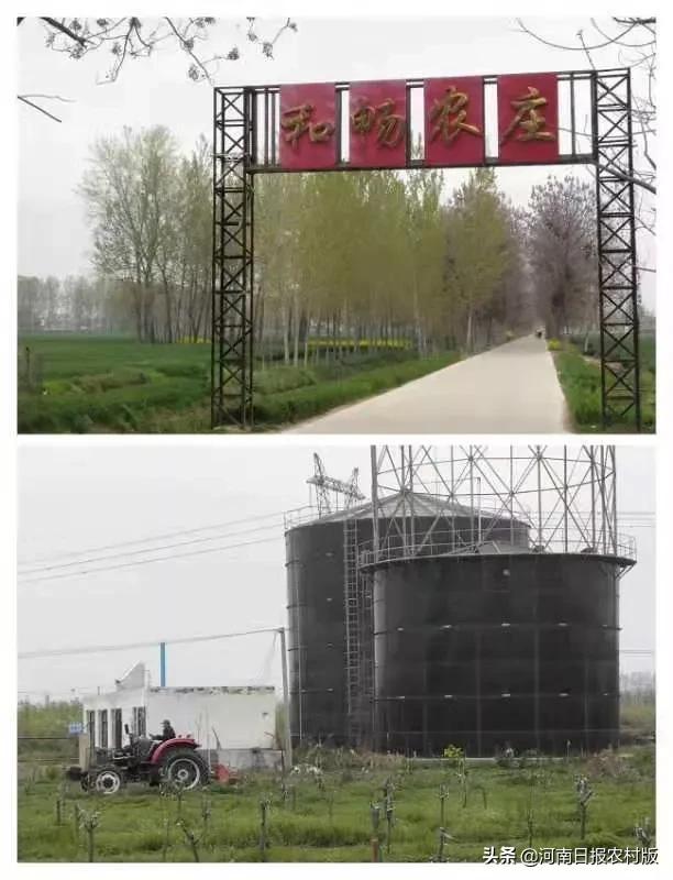 大沽河畔春意浓,清水河畔茉莉清香