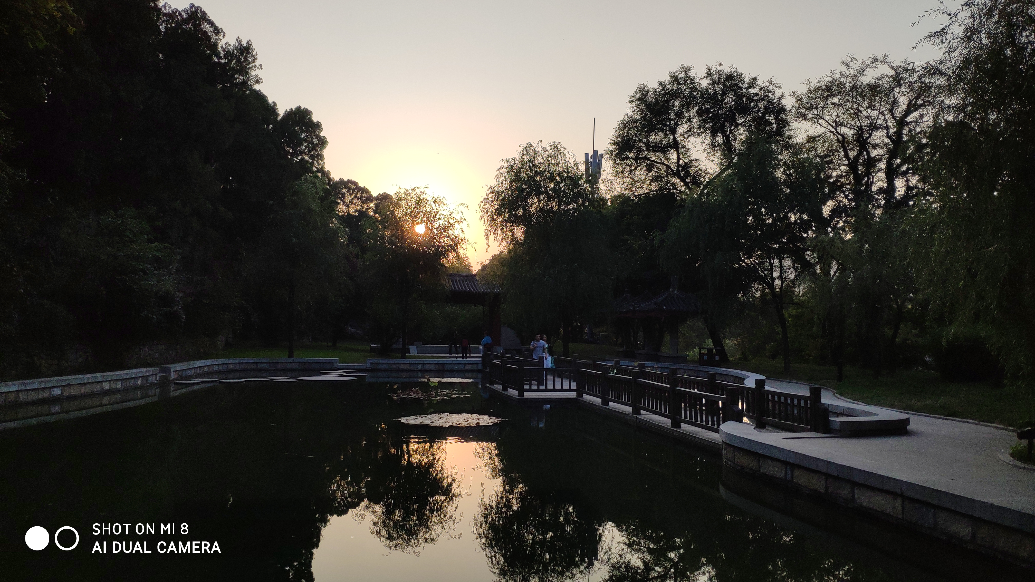 去济南灵岩寺什么必看,济南灵岩寺神树