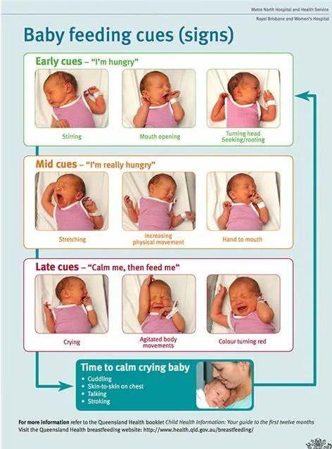 堵奶通乳的正确手法视频教程,堵奶怎么办最快最有效的方法