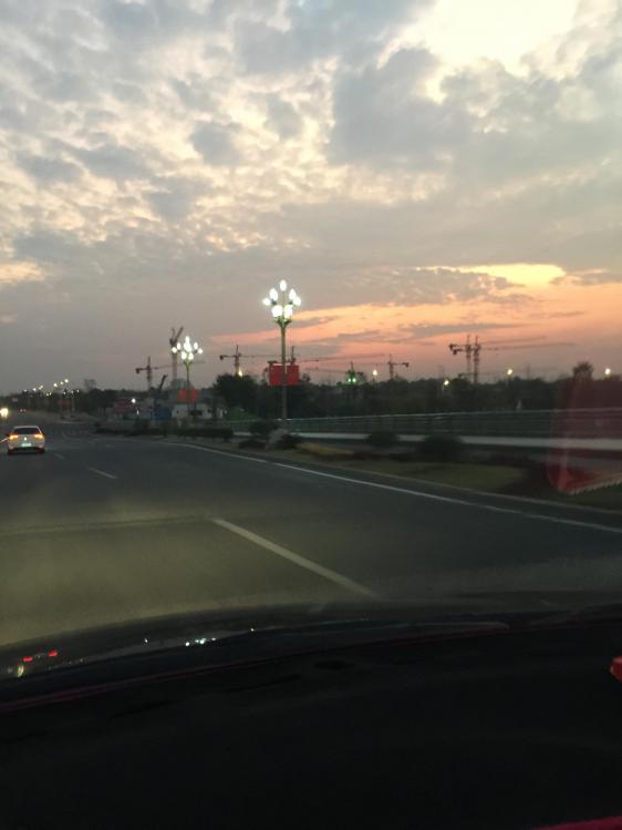 汀粉二代出征，神鹤轻强硬喜获佳绩