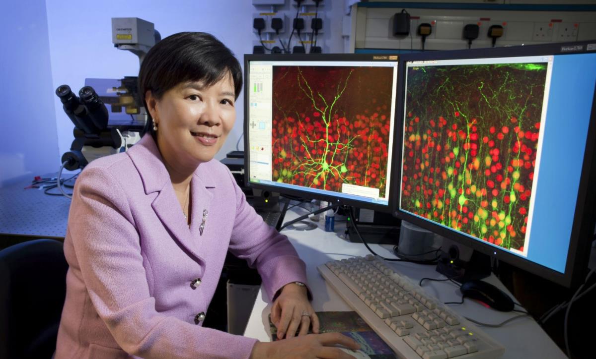 香港美女生物学家：破译人体大脑密码，让老年痴呆症治疗成为可能