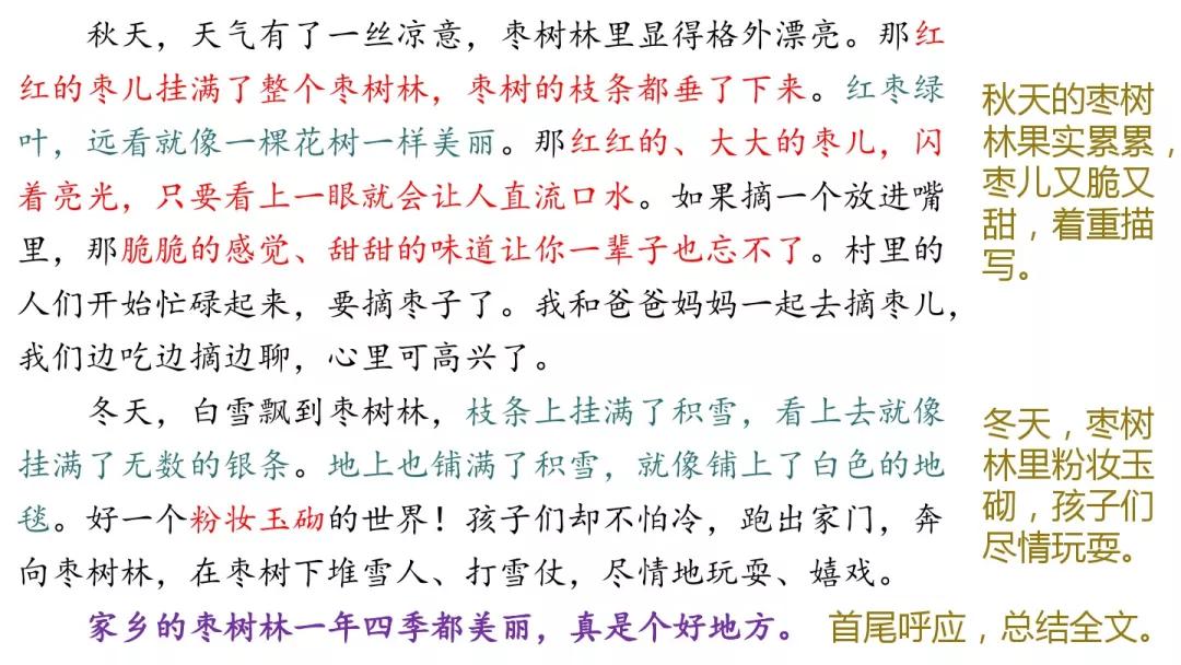 部编三年级第六单元作文这儿真美,三年级第六单元作文这儿真美300字