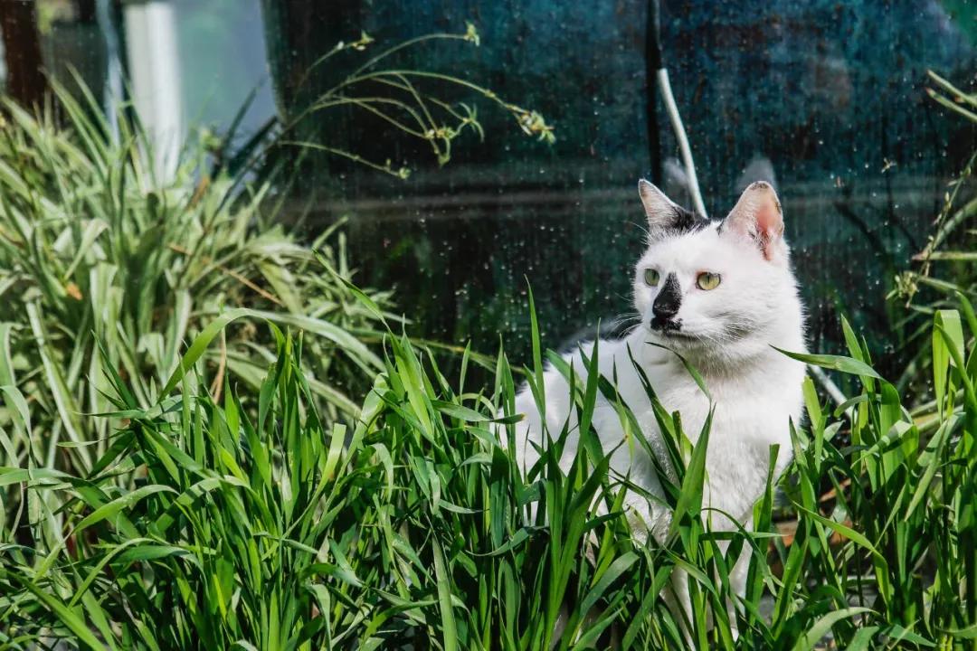 大家盼望的真实事件,掉缸事件怎么处理