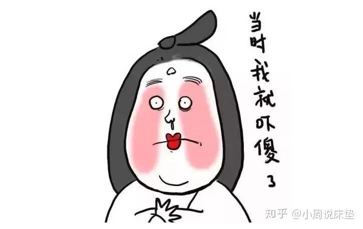 床垫上爬得很快长小虫子是什么,床垫上出现了像蚂蚁一样的小虫子