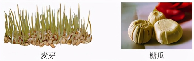 八年级生物中考新突破2024年,生物八年级上册达标测试卷