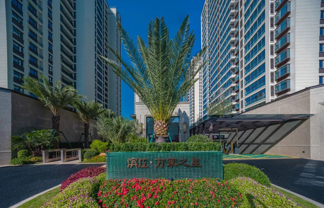 滨江楼盘实景,滨江效果图