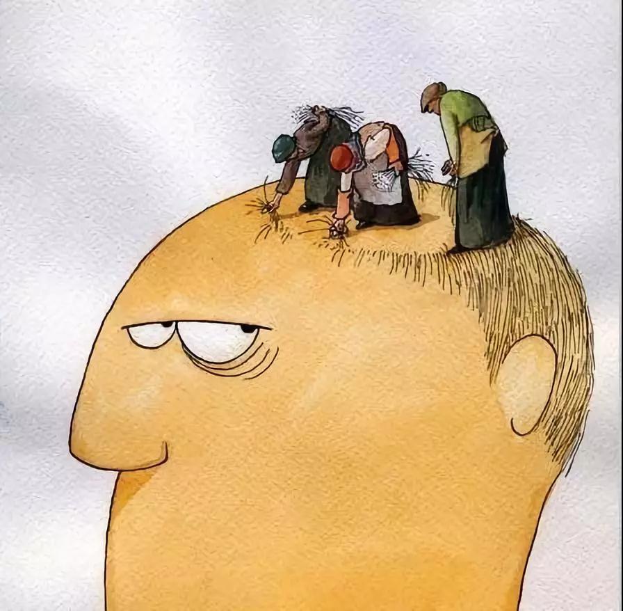 拿什么来拯救我的发际线图片,脱发低龄化如何拯救发际线