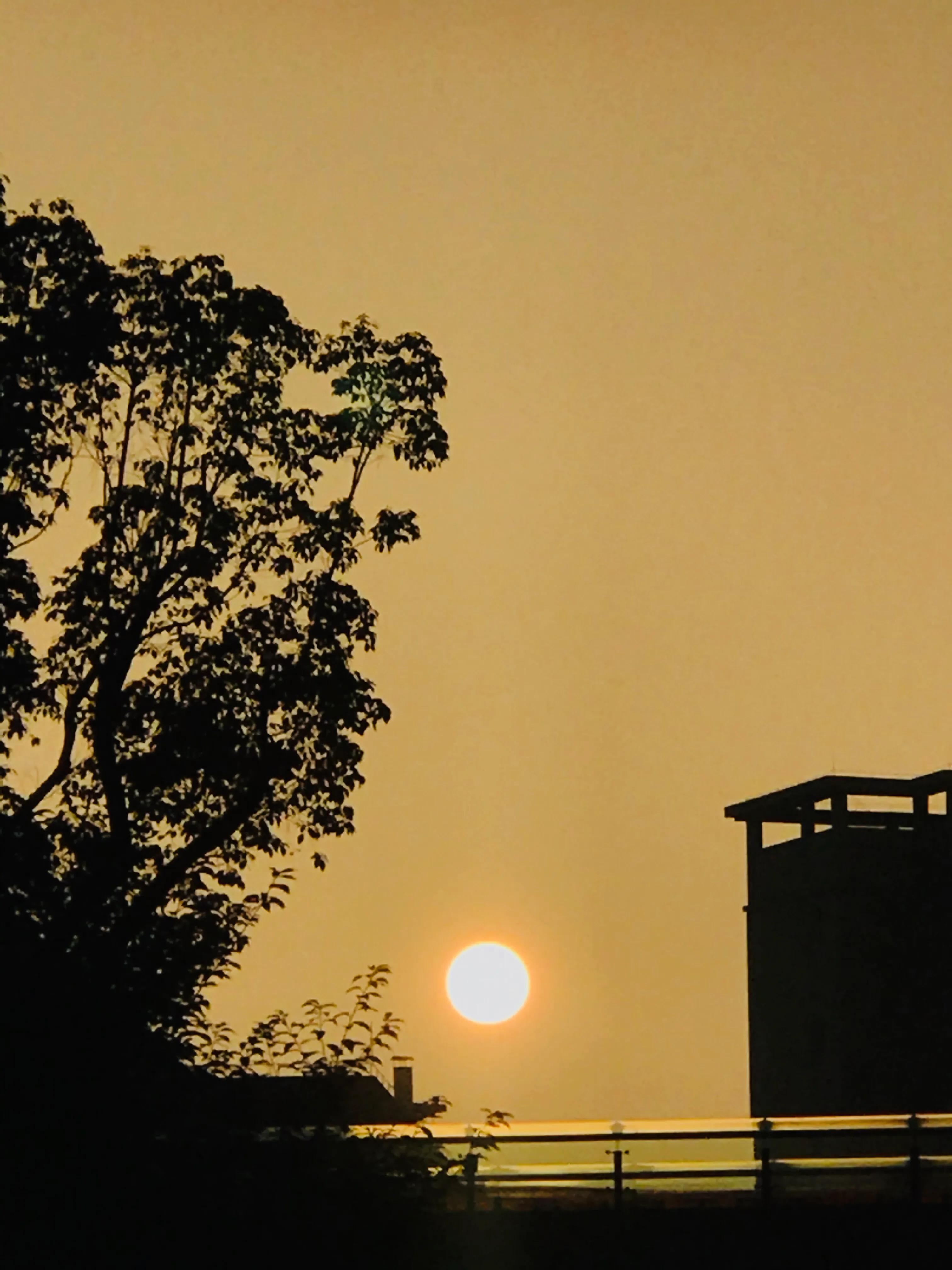 天长地久的梦想,天长地久的感言