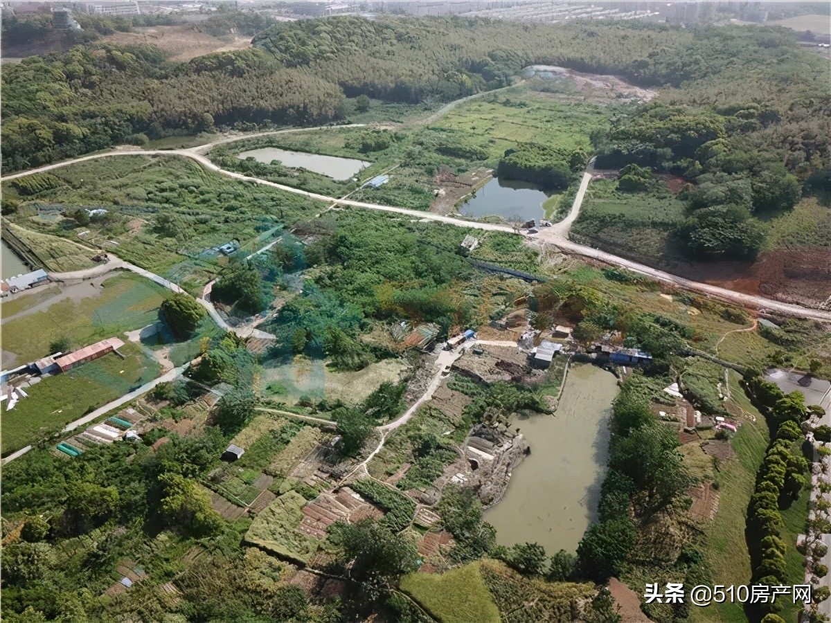 建设项目新进展,建设新进展