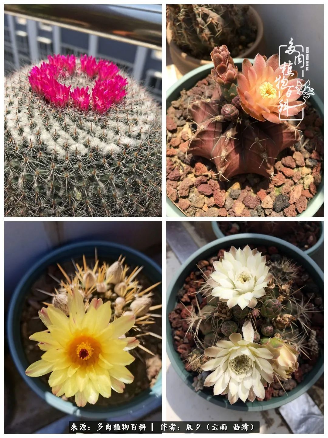 缂辩换鏃栨棊钁宠暏鐢熼,缂辩换鏃栨棊钁宠暏鐢熼鍑哄