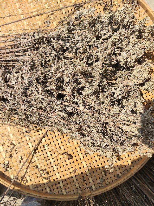 艾条自己怎么做,艾条怎么做出来