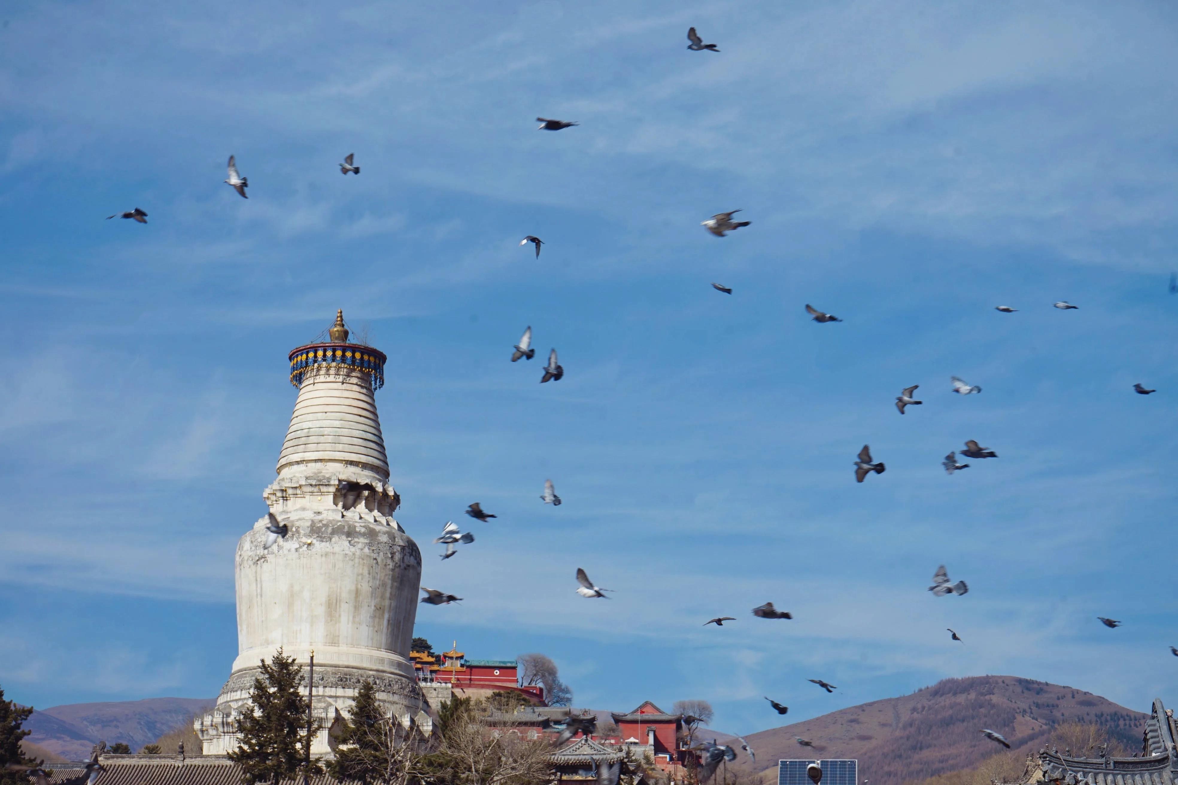文殊菩萨五台山佛光之旅,五台山文殊菩萨真身照片事件解密