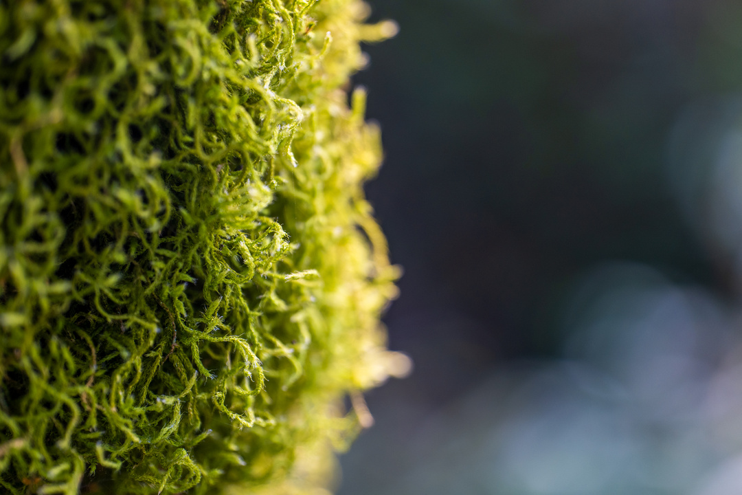 藏在福建漳州南靖的世外桃源,南靖世外桃源