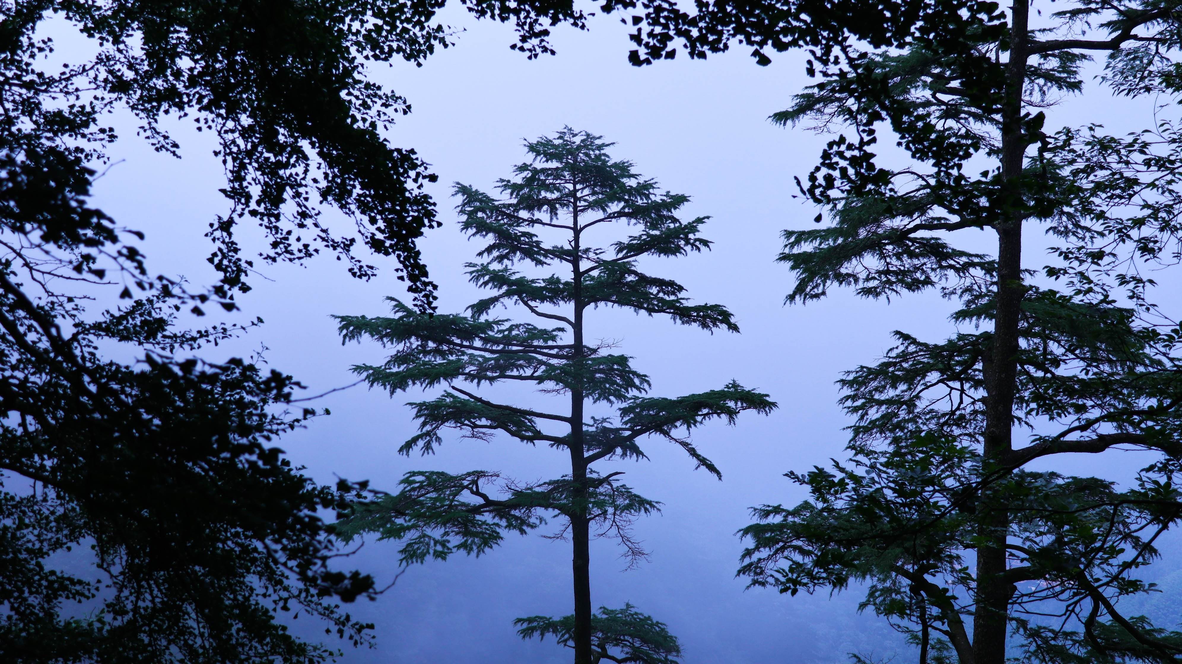 地之奇，天之眼，人间仙境！