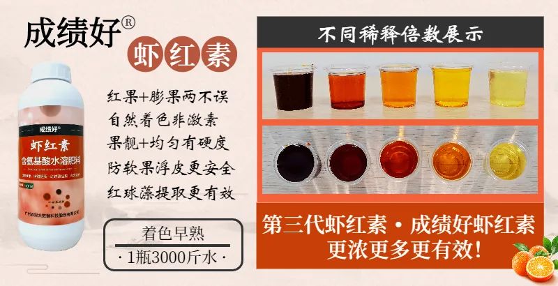 栽树为什么要用保鲜膜,留树保果灵