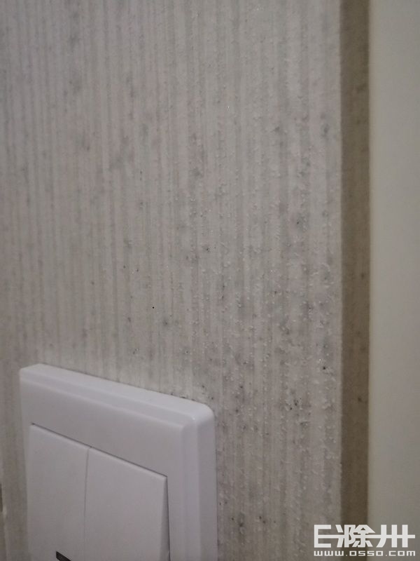 墙纸发霉撕下后墙壁有霉斑,气候潮湿墙纸发霉严重怎么办