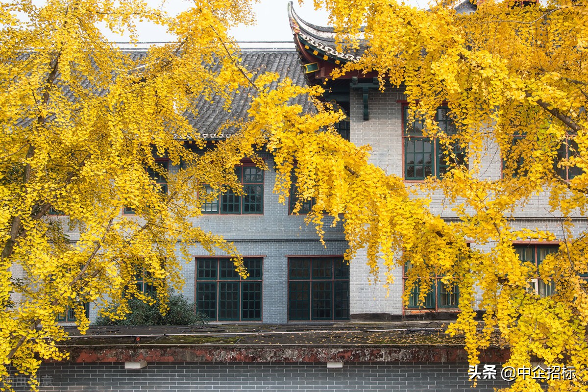 四川大学华西口腔医院会议室视频会议系统需求公告