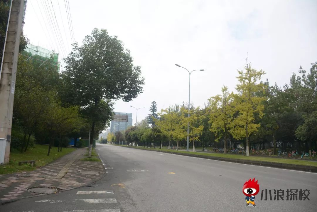 小浪探校实验,小浪探校华阳中学