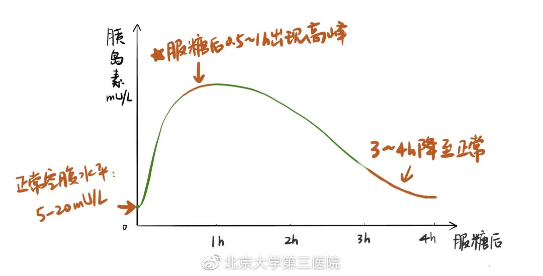 怎么看懂胰岛素和c肽化验单,如何读懂糖尿病化验单