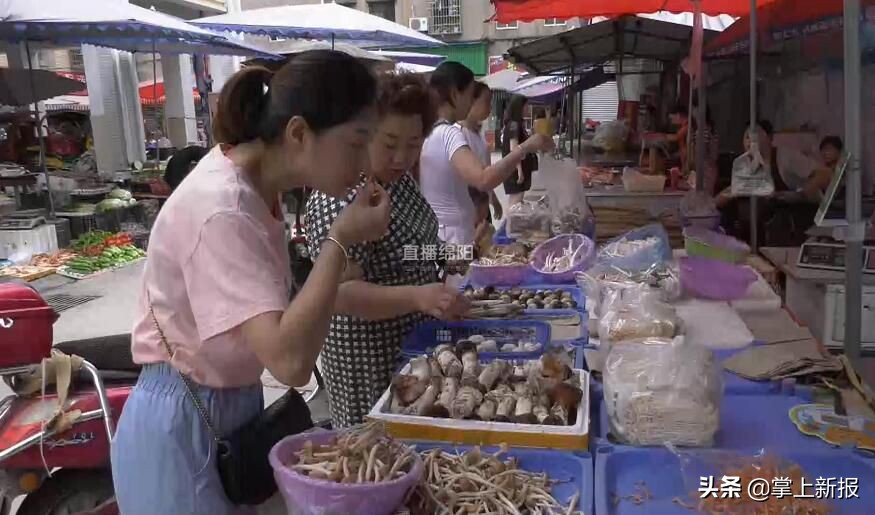 野生毒蘑菇烧毁,野生蘑菇当地市场监管部门烧毁