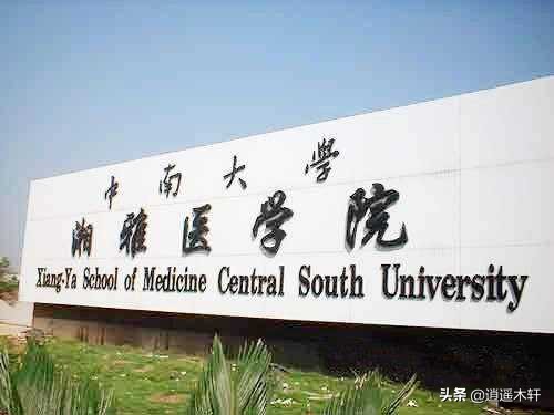 中南大学的性价比怎么样,中南大学算不算顶尖学府