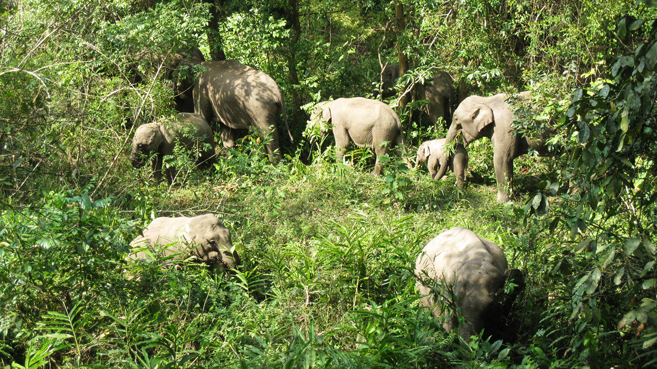 5月份去云南攻略,五月去大理与版纳