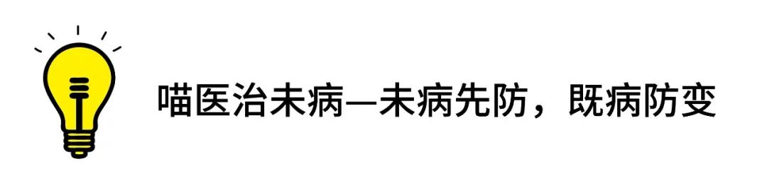 常规驱虫药都不能赶走哪些寄生虫,驱虫关注事项有哪些