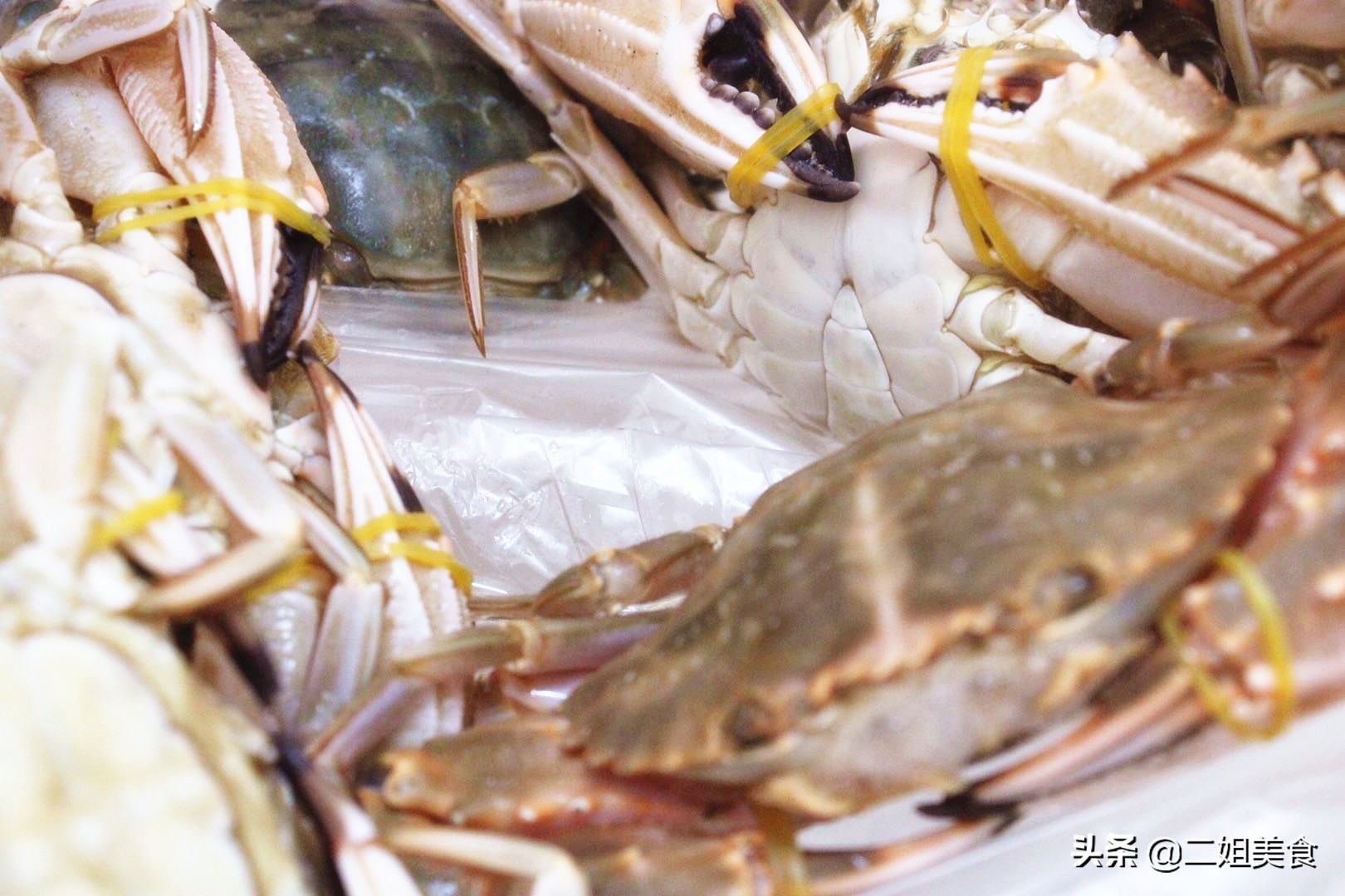 螃蟹买黄色的好还是买青的好,买螃蟹需要关注什么怎么选