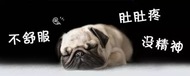 怎么通过狗狗便便颜色判断,狗狗吐绿色的呕吐物要不要看