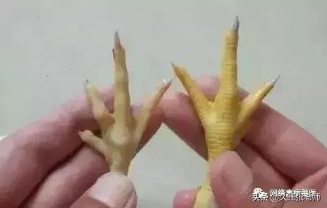 浅表性胃炎重了是胃穿孔吗,肌胃腺胃炎引起的原因