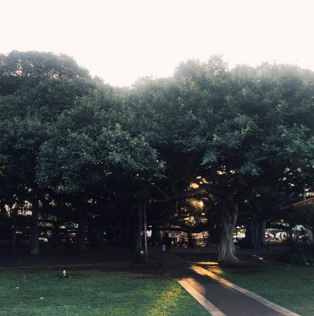 香港疫情态势,香港疫情官方最新消息今天