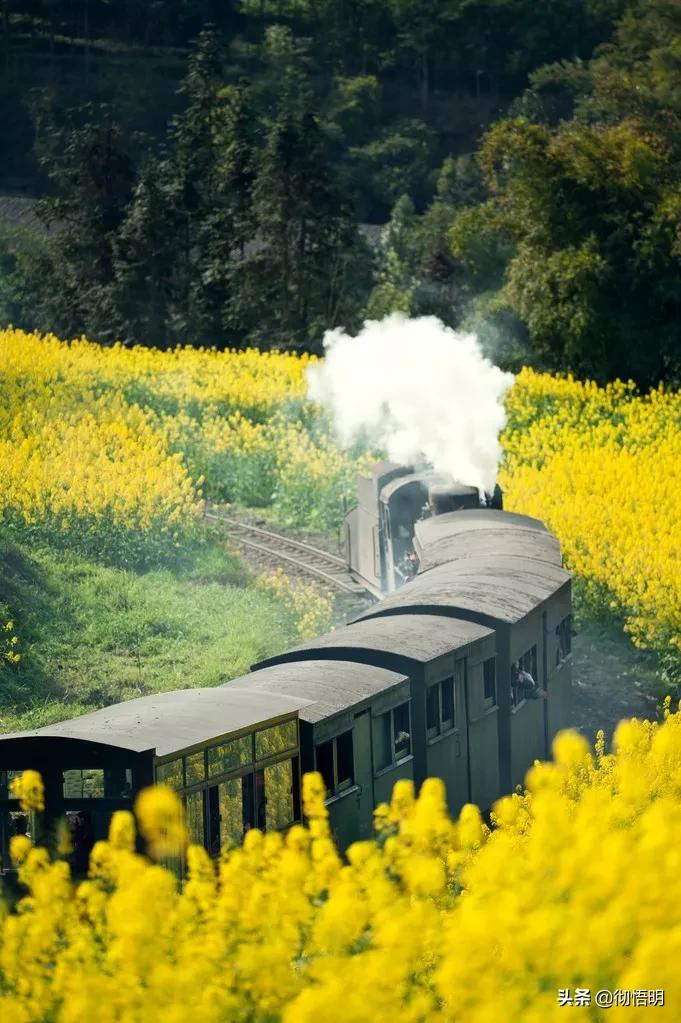 全世界最美50处旅游景点,全球公认世界最美的10个地方