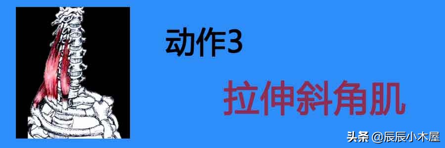 肩颈疼痛拉伸动作教学视频,拉伸提高气质缓解肩颈不适健身操