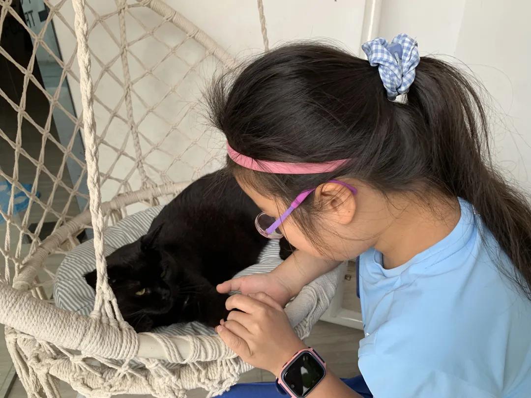 一次惬意的厦门之行,一家三口厦门玩四天