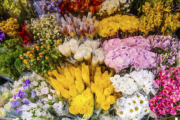 适合女性创业小项目,适合女人的100个创业项目