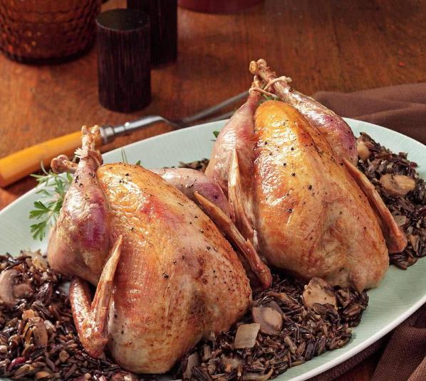 媒体报道英国野鸡泛滥成灾的视频,国外野鸡泛滥成灾