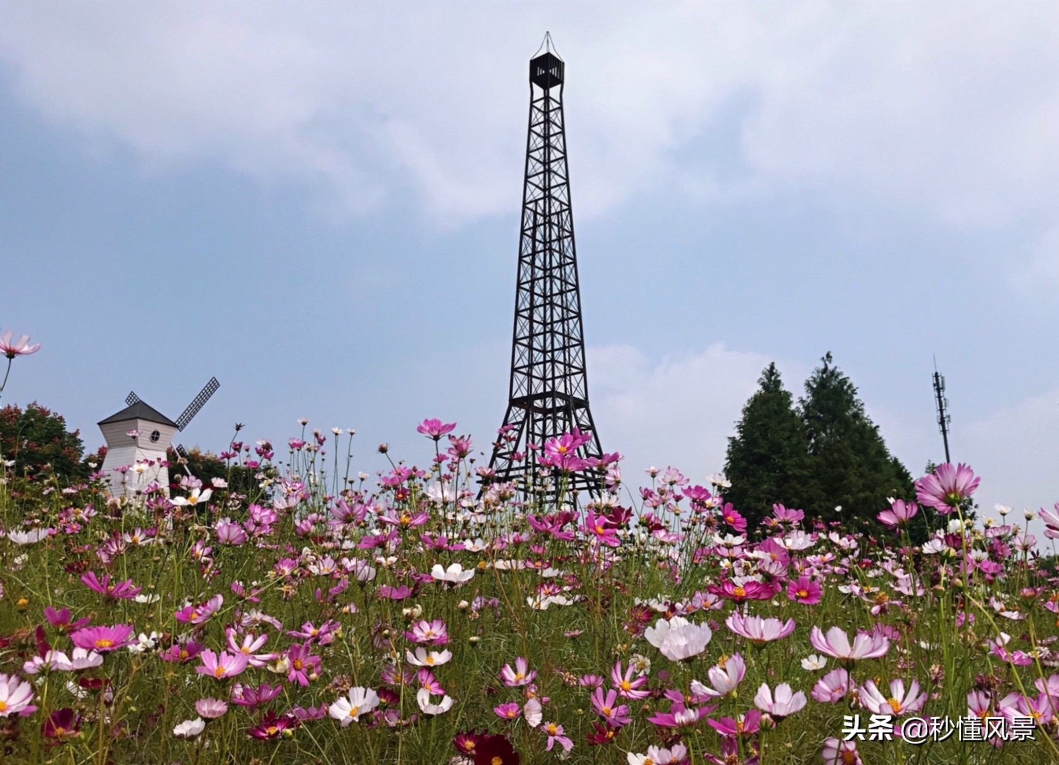 杭州钱塘江观赏地,杭州钱塘江风景最好的地方是