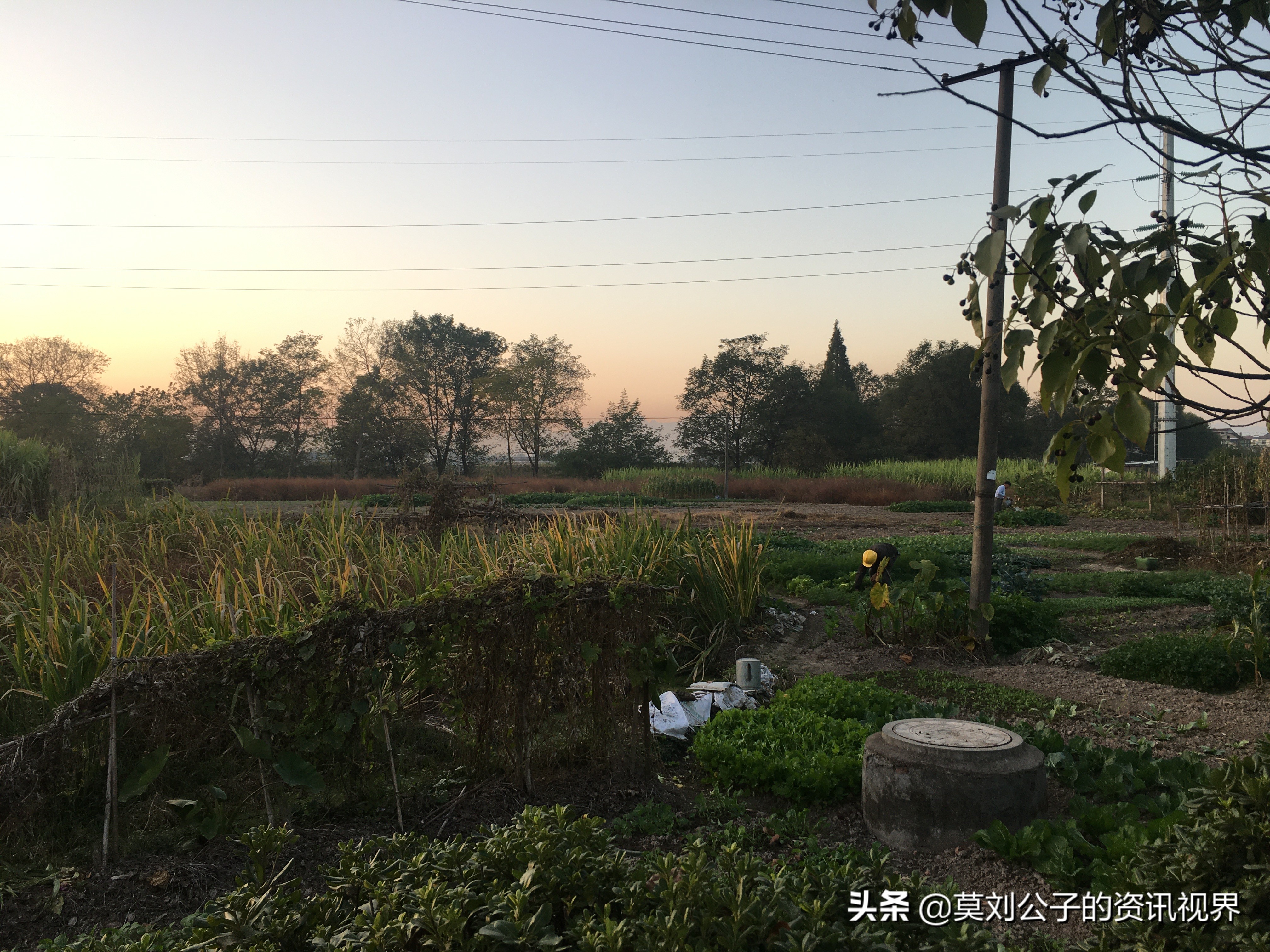 了解中国义乌这座城市,浙江省义乌是大城市吗