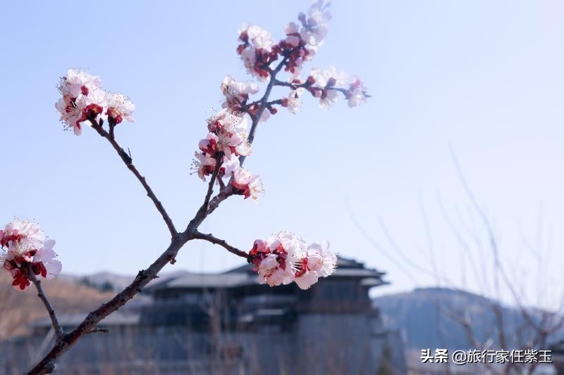 孔子尼山圣境游玩攻略,孔子故里尼山圣境航拍