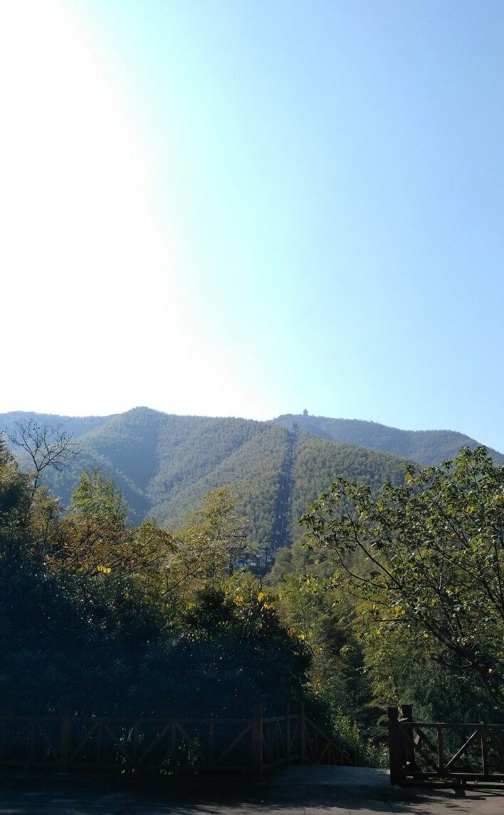 风景秀丽的宜兴竹海,漫步竹林呼吸大自然的清新