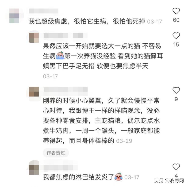 突然养猫了很焦虑,自从接了一只猫回家