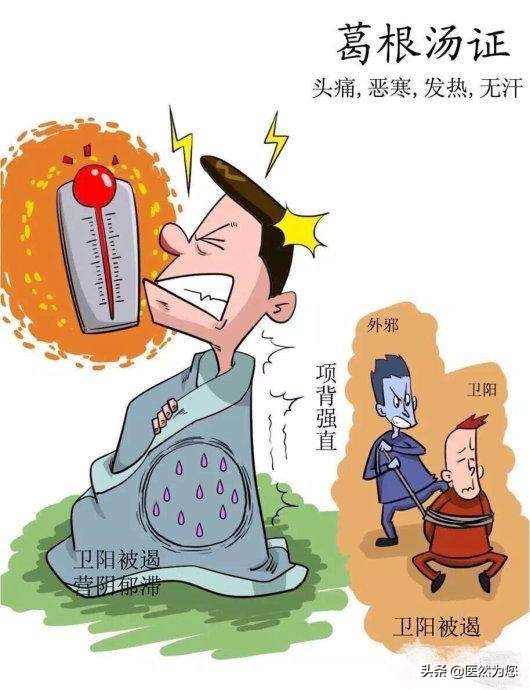 无汗用麻黄有汗用桂枝,麻黄有汗用还是无汗用